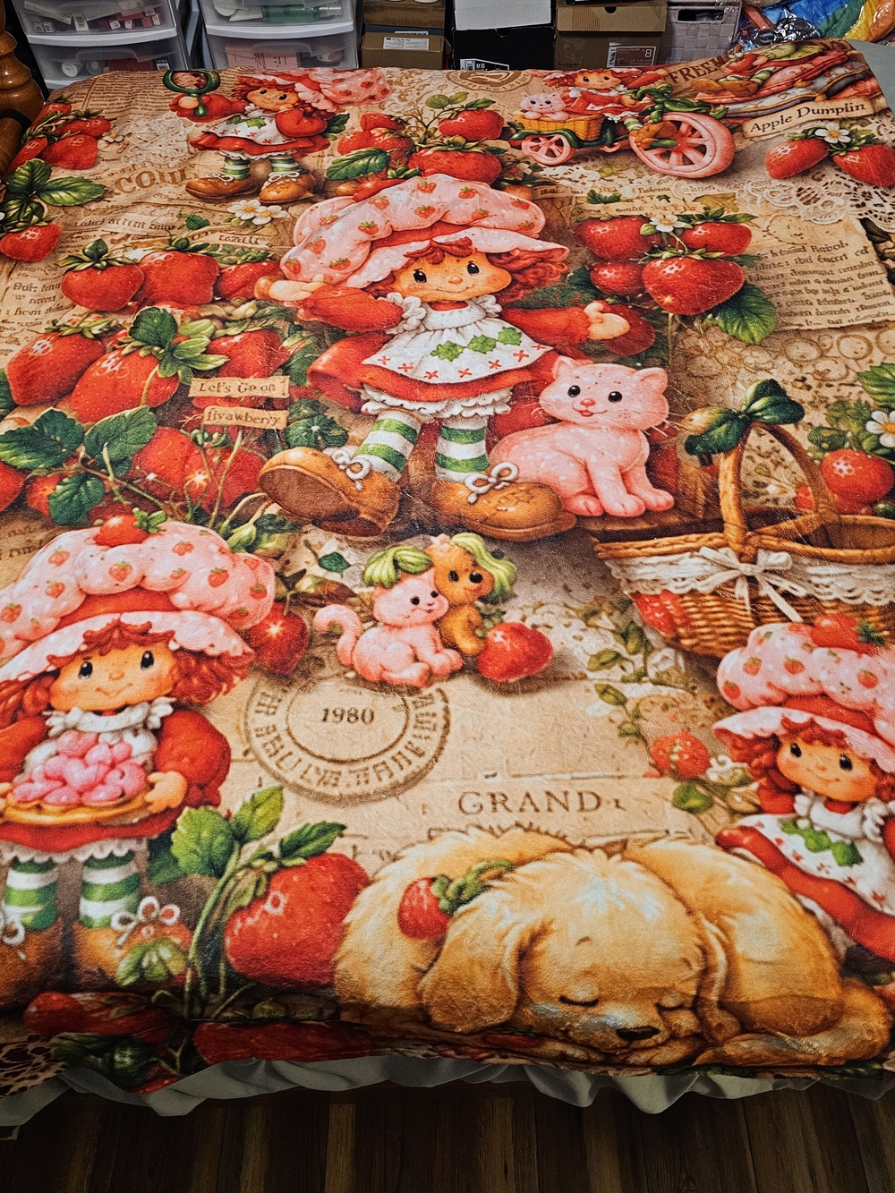Strawberry Print Plush Bedding Throw Blanket - Pink/Red